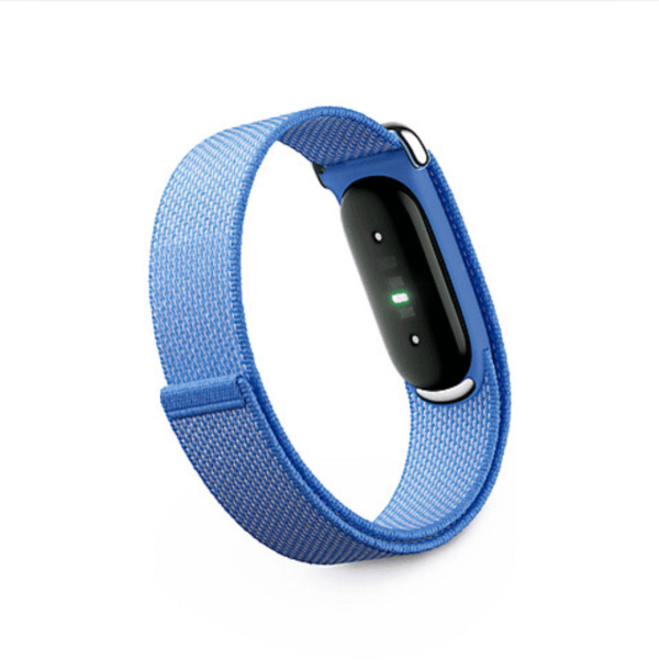 Google Fitbit Air Lavender